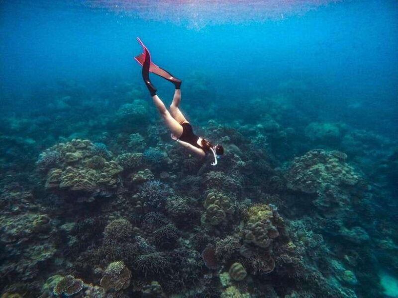 phuket-surin-islands-full-day-snorkeling-tour-by-speedboat-2