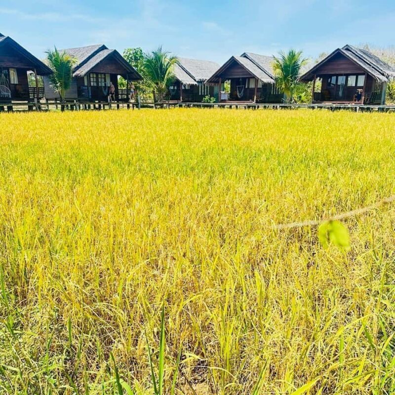 Phuket to Krabi: Koh Hong, Koh Yao & Lao Lading Tour - Koh Yao Noi: A Taste of Local Life