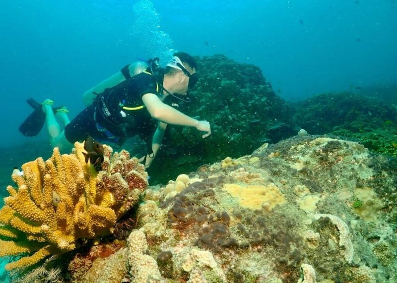 phuket-try-scuba-diving-full-day-experience-2-dives