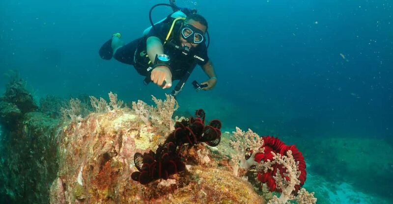 phuket-try-scuba-diving-full-day-experience-3-dives