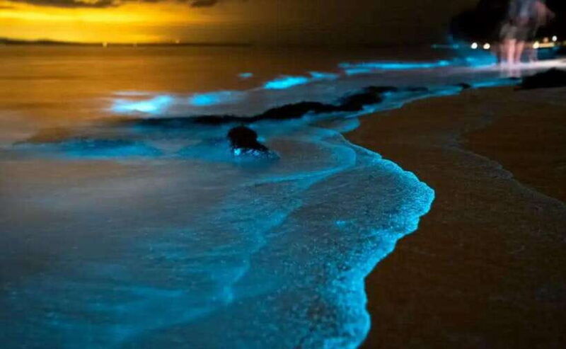 phuket-twilight-sea-canoe-tour-with-glowing-plankton
