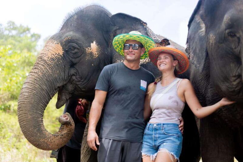 phuket-walk-and-feed-ethical-elephant-nature-park-tour