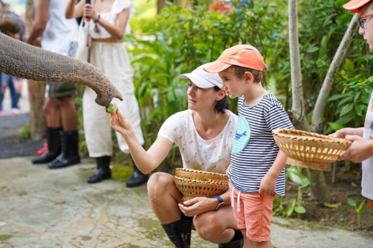 phuket-walk-and-feed-ethical-elephant-nature-park-tour
