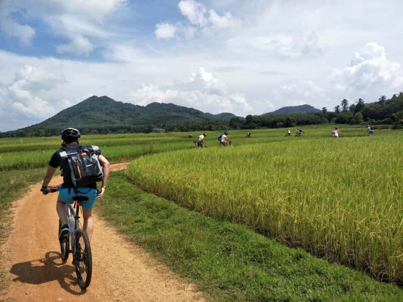 Phuket: Yao Island Cycling and Beach Day-Trip - An In-Depth Look at the Yao Island Cycling and Beach Day-Trip
