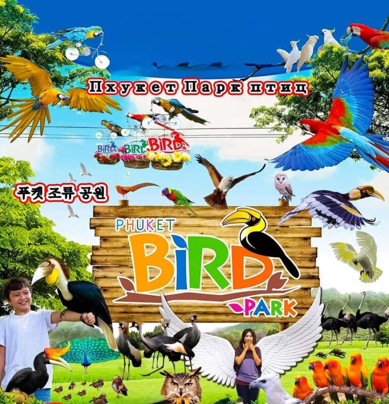 Phuket:ATV Adventure & Bird Park in Forest View Big Buddha - Key Points