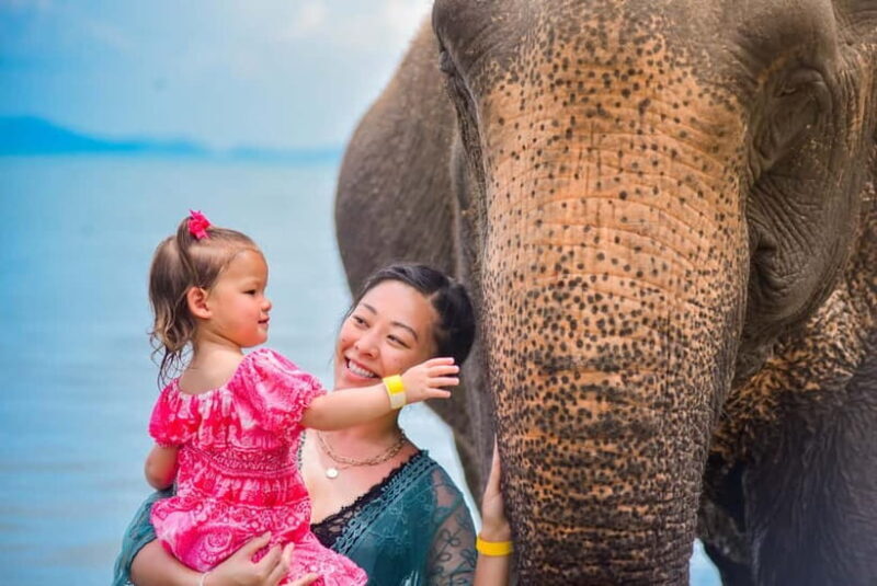 Phuket:Beach walk with elephants, rain & care. 2.5 hours - Exploring Phuket’s Ethical Elephant Experience: Lily Elephant Camp Review