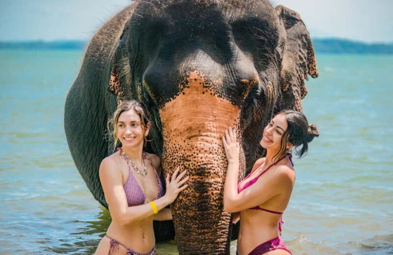 Phuket:Beach walk with elephants, rain & care. 2.5 hours - Key Points