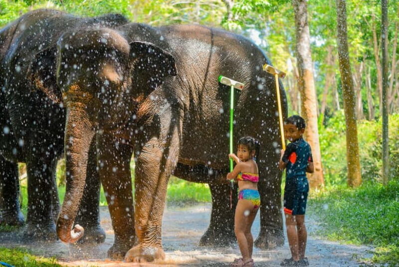 Phuket:Beach walk with elephants, rain & care. 2.5 hours - Who Is This Experience Perfect For?