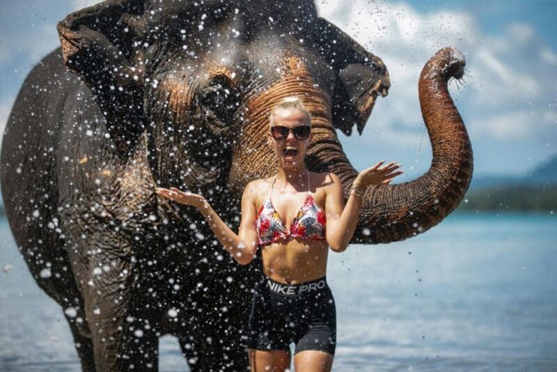 Phuket:Beach walk with elephants, rain & care. 2.5 hours - FAQs