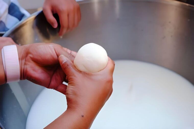 pianillo-make-gnocchi-mozzarella-and-wine-tasting