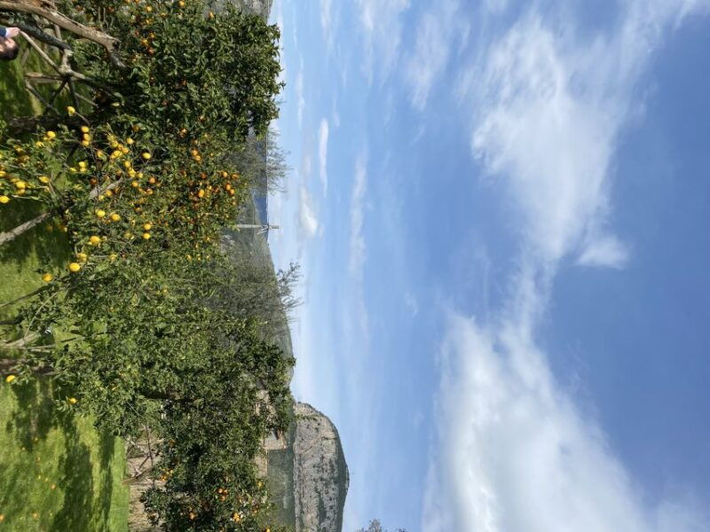 piano-di-sorrento-cooking-class-with-food-tasting-and-wine