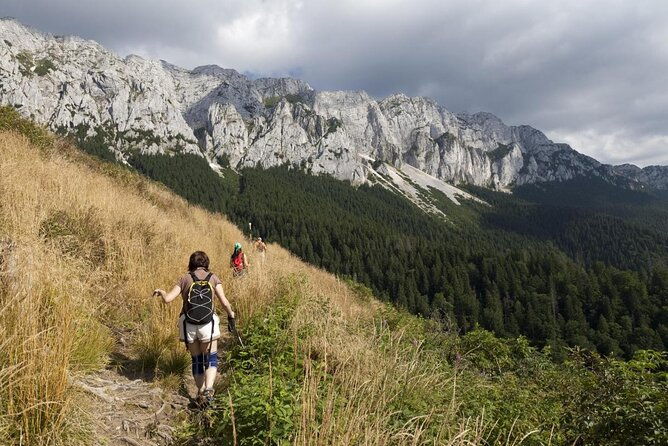 piatra-craiului-national-park-private-hiking-tour-from-brasov