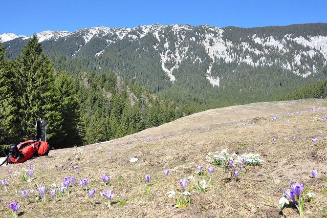 piatra-craiului-national-park-private-hiking-tour-from-brasov