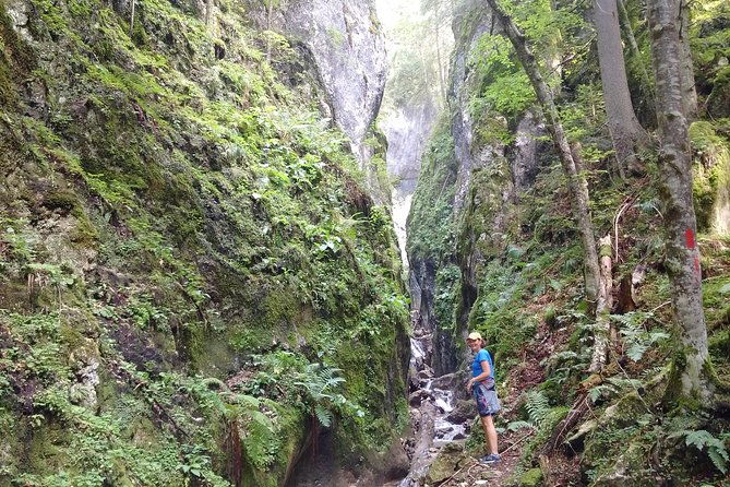 piatra-craiului-national-park-private-hiking-tour-from-brasov