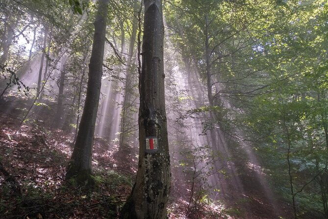 piatra-craiului-national-park-private-hiking-tour-from-brasov