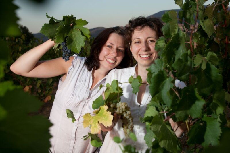 pic-nic-deluxe-assisi-and-wine-tasting-5-wines
