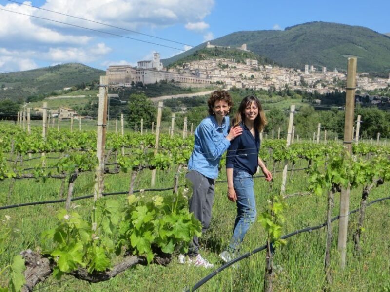 pic-nic-deluxe-assisi-and-wine-tasting-5-wines