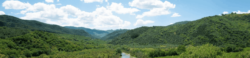 pic-nic-in-centuries-old-olive-grove-in-matera
