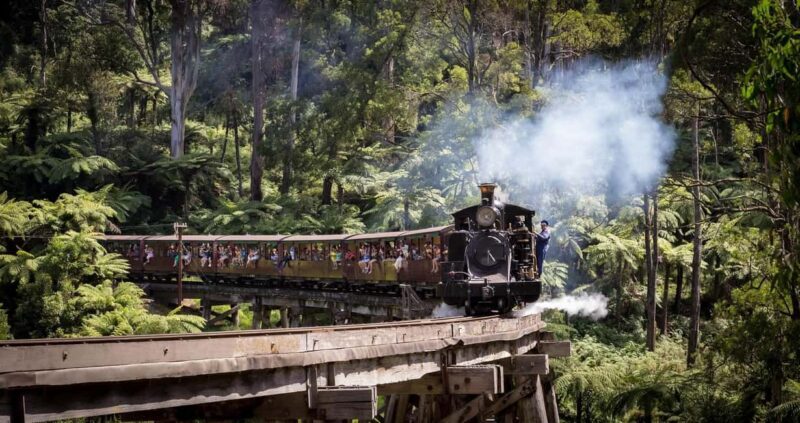 Pick Up from City | Steam Train and Penguin Parade Day Tour - A Closer Look at the Tour Experience