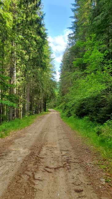Pick-up from Cluj: e-Mountain Bike Tour Lake Dragan - Practical Details: Making the Most of Your Bike Adventure