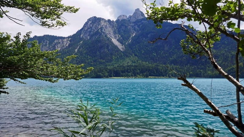 Pick-up from Munich: Hike to Neuschwanstein Castle - Who Will Love This Tour?
