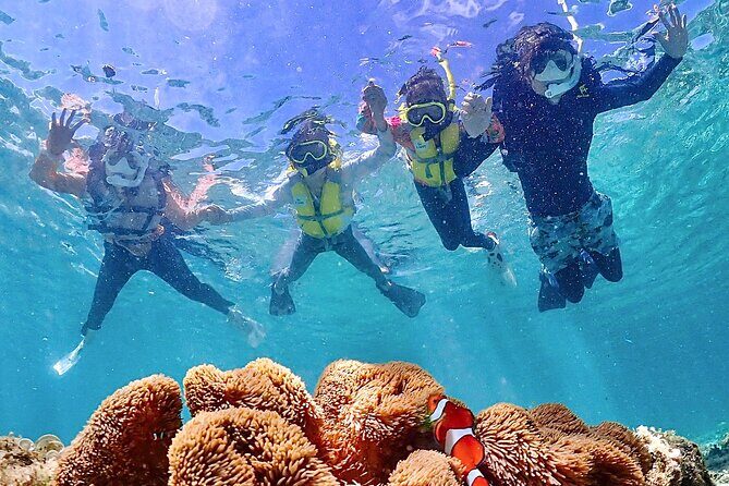 Pick-up OK1~70old99% Snorkelingsea turtles, fish and coral - Frequently Asked Questions (FAQs)