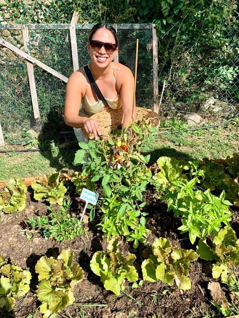 pick-vegetables-at-the-farm-cook-pasta