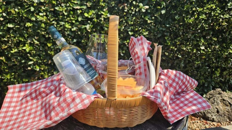 Picnic among the rows of Vernaccia di San Gimignano - Introduction: What to Expect from This Unique Tuscan Picnic