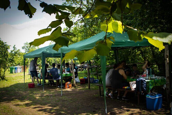 Picnic Area with Barbecue Equipment in Capranica (VT) - Authentic Experiences from Visitors