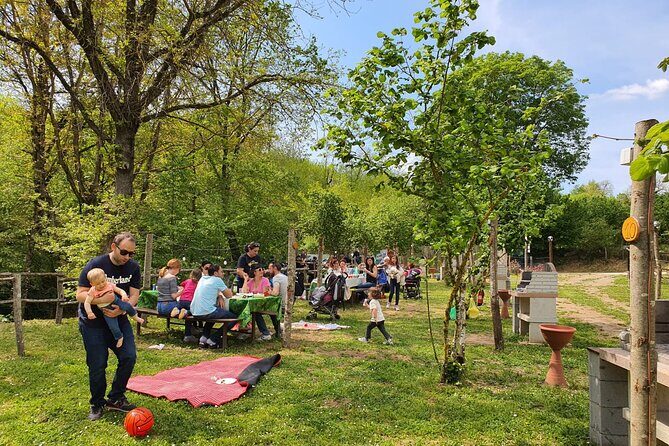 Picnic Area with Barbecue Equipment in Capranica (VT) - Why This Picnic Spot Is Worth It