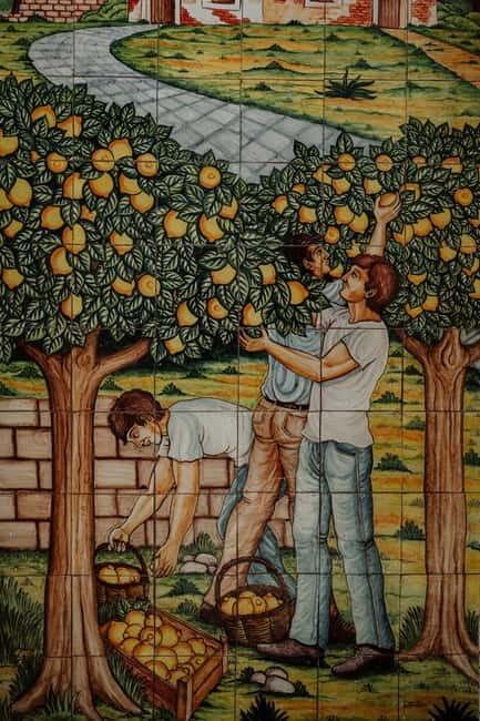 Picnic at the Estates - A Detailed Look at the Picnic Experience in Sicily