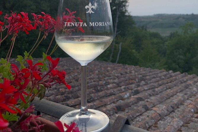 picnic-in-the-countryside-in-the-heart-of-chianti