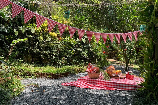 picnic-in-the-garden