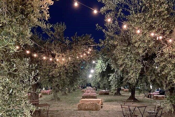 Picnic in the Moonlight on the Costa dei Trabocchi - A Quiet Night Under the Stars: Picnic in the Moonlight on the Costa dei Trabocchi