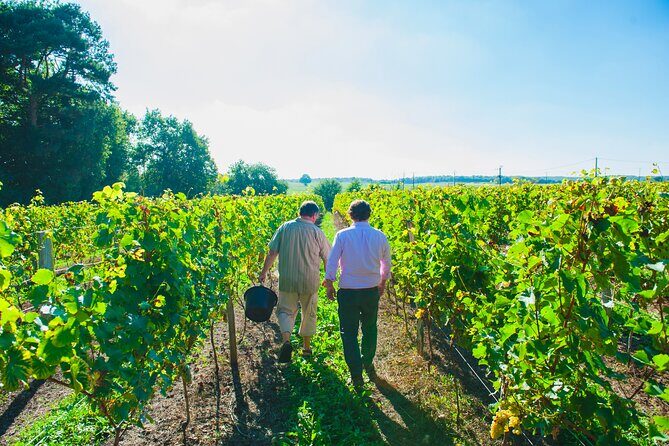 Picnic in the Vines - A Unique Loire Wine Experience - Authentic Insights from Reviewers