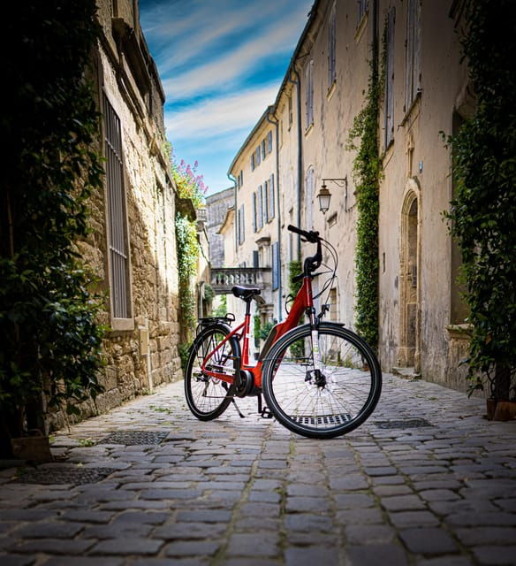picnic-next-to-lavender-fields-by-e-bike