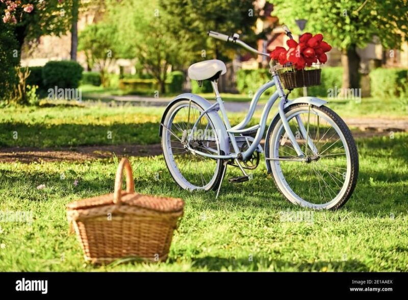 picnic-next-to-lavender-fields-by-e-bike