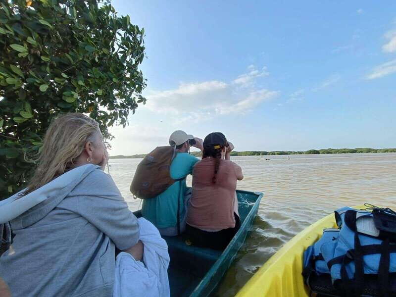 PICNIC ON A SANDBANK + KAYAK ADVENTURE FROM SISAL PUERTO - The Itinerary Breakdown