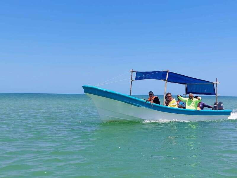 PICNIC ON A SANDBANK + KAYAK ADVENTURE FROM SISAL PUERTO - The Experience: Authenticity, Comfort, and Adventure