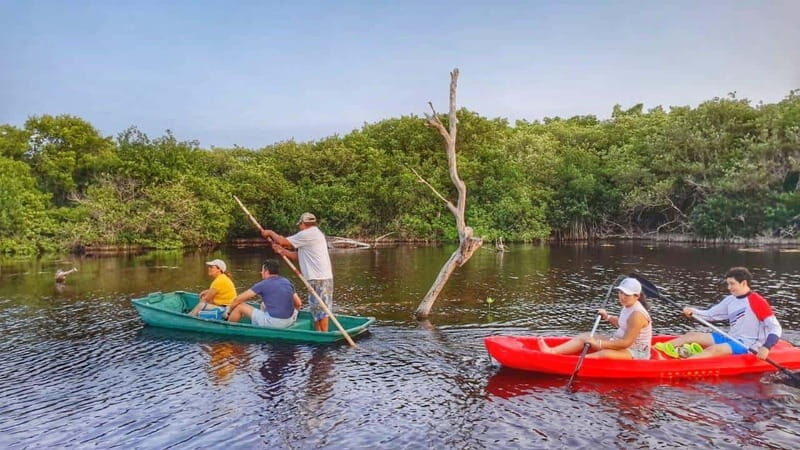 PICNIC ON A SANDBANK + KAYAK ADVENTURE FROM SISAL PUERTO - Who Should Consider This Tour?