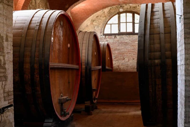PICNIC on the estate - wine and vineyards - Practical Tips for Your Visit