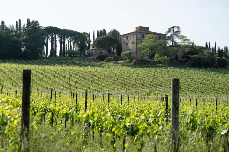 PICNIC on the estate - wine and vineyards - Who Will Love This Experience?