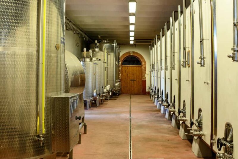 PICNIC on the estate - wine and vineyards - FAQs