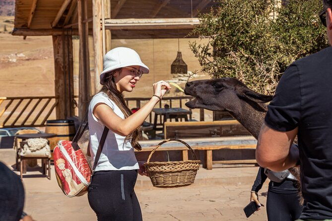 picnic-with-llamas-and-chinchero-moray-and-maras