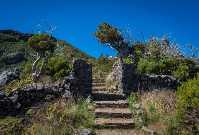 Pico Areeiro to Pico Ruivo Madeira Island Walk - FAQs