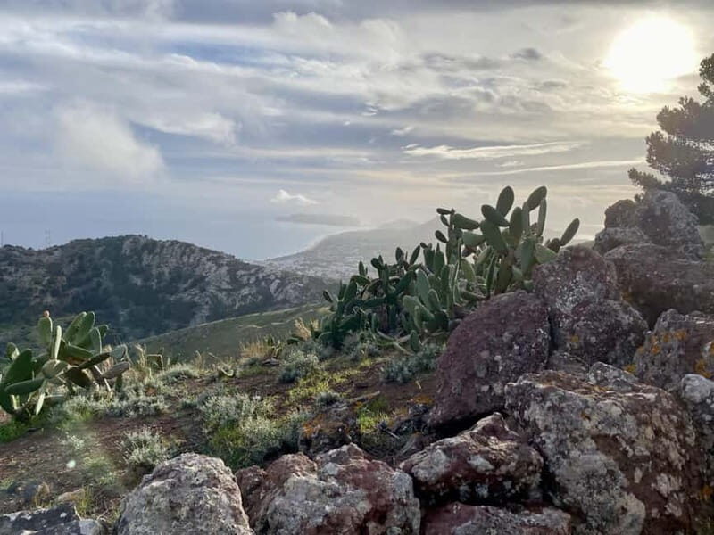 Pico Castelo & Pico Facho Vereda: Walk with Spectacular View - An Authentic Walk Through Porto Santo’s Mountain Landscape