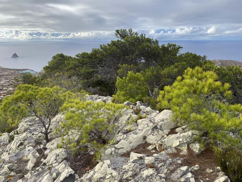 Pico Castelo & Pico Facho Vereda: Walk with Spectacular View - Comfort and Practical Details