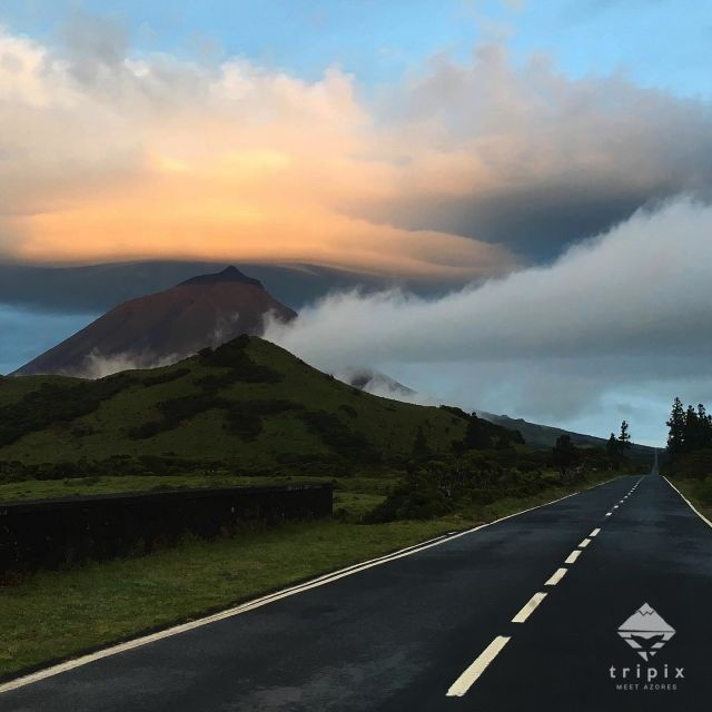 pico-day-tour-get-to-know-pico-island-with-a-local-guide
