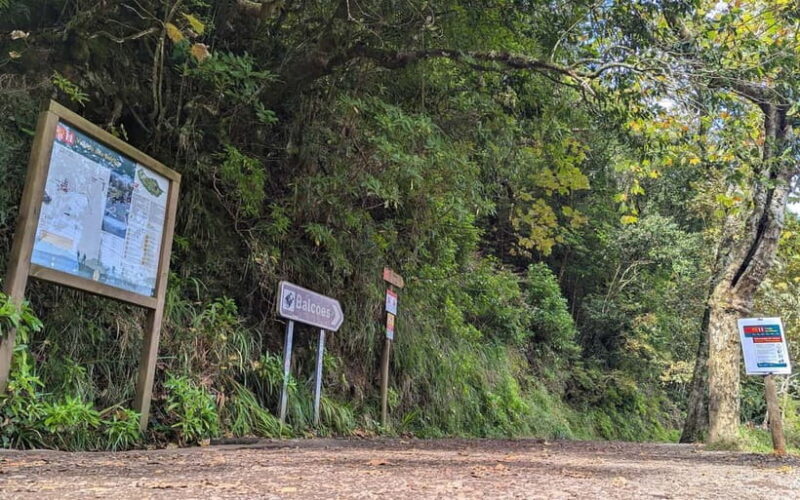 Pico do Arieiro in 4h: Immersive Private Jeep Experience - Practical Tips and Considerations