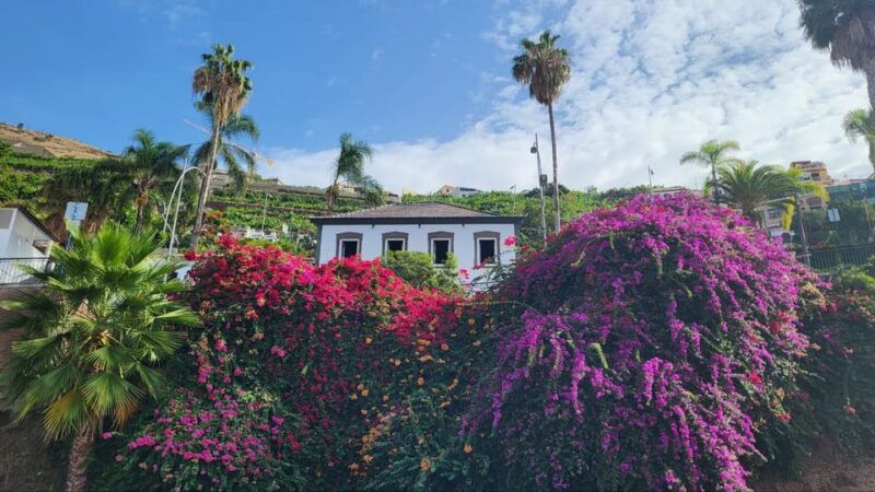 pico-do-arieiro-santana-more-full-day-madeira-east-tour